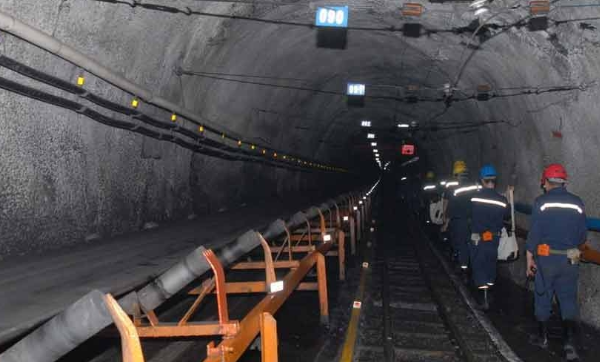 媒安檢測.png 媒安檢測.png